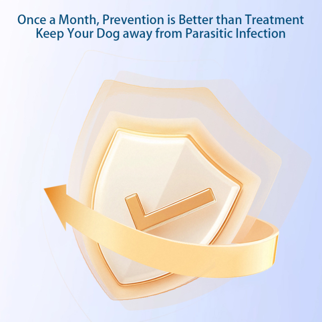 Factory OEM Pet Dewormer Fipronil Spot on Solutions for Dogs with a Weight of 10 to 20kg,Spreads through Sebum Fipronil Spot On Solutions for dog with a weight less than 10kg,Pevet