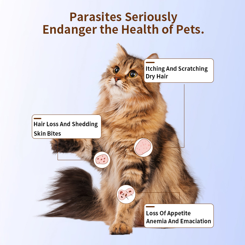 Veterinary lmidacloprid and Moxidectin Spot-on solutions for cats,Veterinary lmidacloprid and Moxidectin Spot-on solutions for cats,Pevet