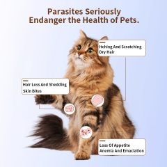 Imidacloprid Tick Treatment Moxidectin Combination Products Spot-on solutions for cats,Imidacloprid Topical  and Moxidectin Anthelmintic Spot-on solutions for cats,Pevet