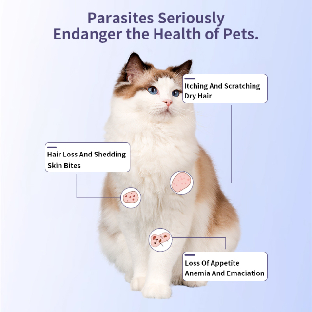 Fast-Acting Anthelmintic Moxidectin Imidacloprid Combination Formula Spot-on for cats,Fast-Acting Anthelmintic Moxidectin Imidacloprid Combination Formula Spot-on for cats,Pevet