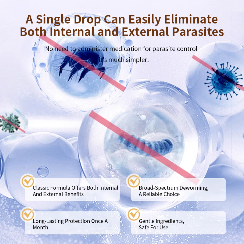 Pet Dewormer lmidacloprid and Moxidectin Spot-on solutions for cats,Pet Dewormer lmidacloprid and Moxidectin Spot-on solutions for cats,Pevet