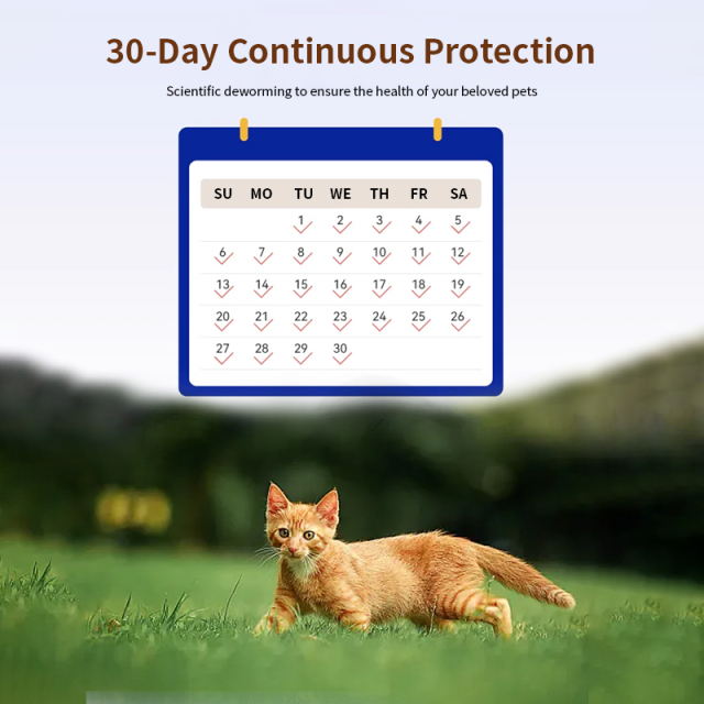 Imidacloprid Tick Treatment Moxidectin Combination Products Spot-on solutions for cats,Imidacloprid Topical  and Moxidectin Anthelmintic Spot-on solutions for cats,Pevet