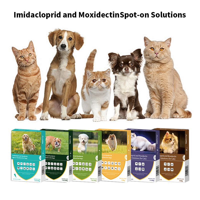 Imidacloprid Safety Moxidectin Spot-on solutions for cats,Imidacloprid Safety Moxidectin Spot-on solutions for cats,Pevet