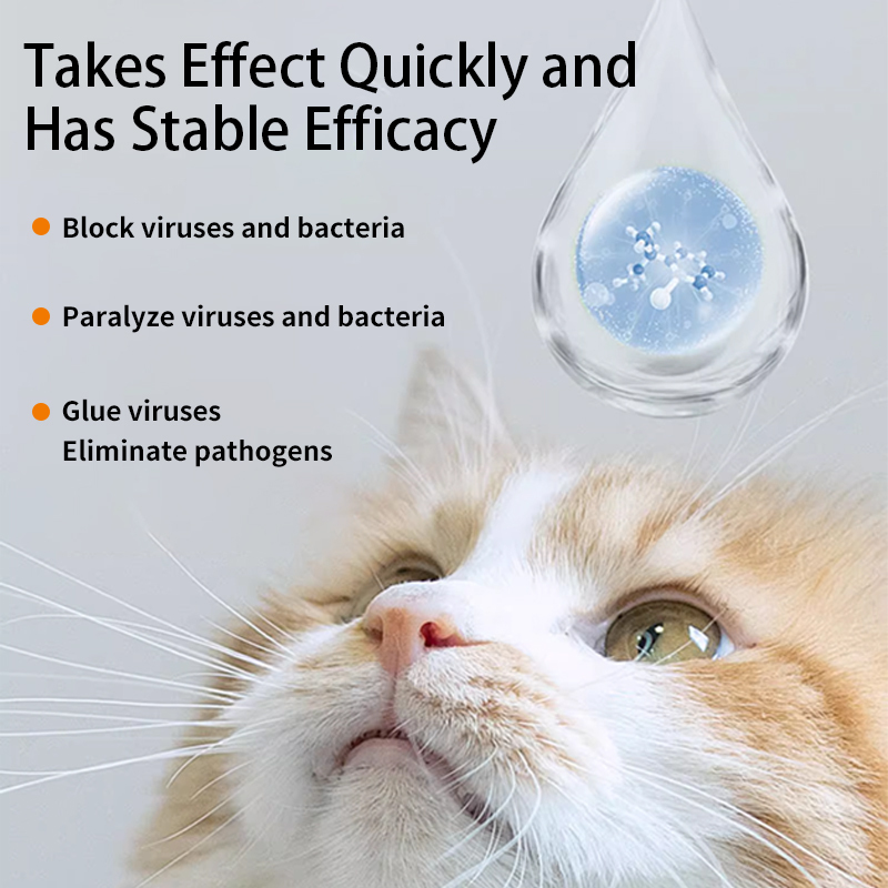 Pet Use Effective Hydrocortisone Acetate Eye Drops for cats,Pet Use Effective Hydrocortisone Acetate Eye Drops for cats,Pevet
