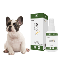 100ml Fipronil Spray worm medicine for dogs Easy to Administer puppy deworming medicine,100ml Fipronil Spray worm medicine for dogs Easy to Administer puppy deworming medicine,Pevet