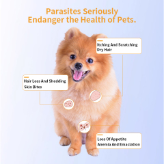 Best dog wormer Imidacloprid and Moxidectin Spot-on Solutions worm medicine for Dogs,Best dog wormer Imidacloprid and Moxidectin Spot-on Solutions worm medicine for Dogs,Pevet