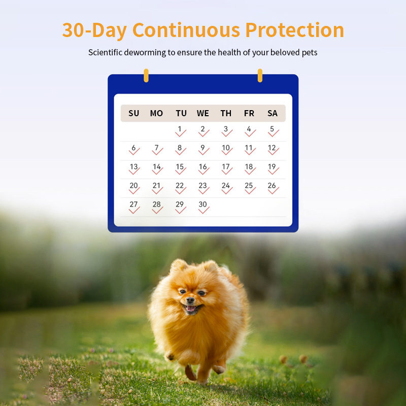 Effective dog worm treatment Lmidacloprid and Moxidectin Spot-on Solutions for Dogs,Effective dog worm treatment Lmidacloprid and Moxidectin Spot-on Solutions for Dogs,Pevet