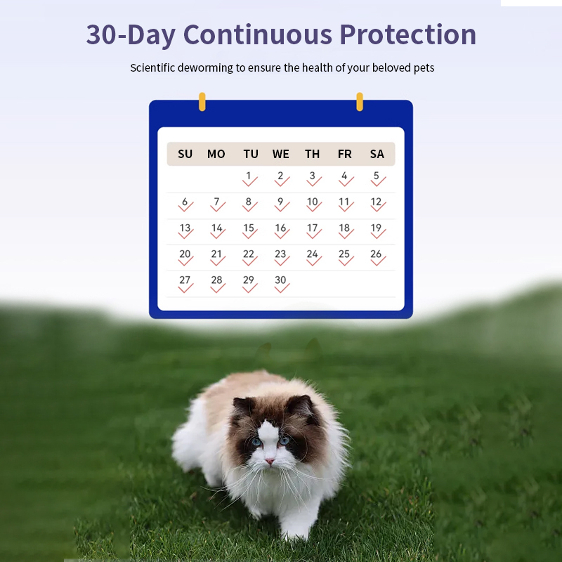 Easy to Administer Pet Dewormer Imidacloprid and Moxidectin Spot-on Solutions for Cats,Easy to Administer Pet Dewormer Imidacloprid and Moxidectin Spot-on Solutions for Cats,Pevet