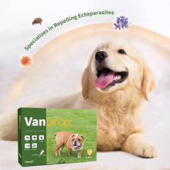 Dog Dewormer Avermectin Pour-on Solutions Effective vet worm medicine,Dog Dewormer Avermectin Pour-on Solutions Effective vet worm medicine,Pevet