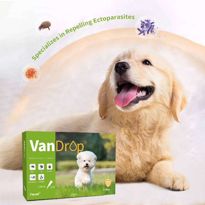 Thuốc tẩy giun cho chó Avermectin dạng dung dịch đổ trực tiếp, được nhà sản xuất OEM khuyên dùng, do bác sĩ thú y chính hãng.,Thuốc tẩy giun cho chó Avermectin dạng dung dịch đổ trực tiếp, được nhà sản xuất OEM khuyên dùng, do bác sĩ thú y chính hãng.,Pevet