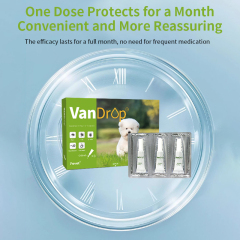 Thuốc tẩy giun cho chó Avermectin dạng dung dịch đổ trực tiếp, được nhà sản xuất OEM khuyên dùng, do bác sĩ thú y chính hãng.,Thuốc tẩy giun cho chó Avermectin dạng dung dịch đổ trực tiếp, được nhà sản xuất OEM khuyên dùng, do bác sĩ thú y chính hãng.,Pevet