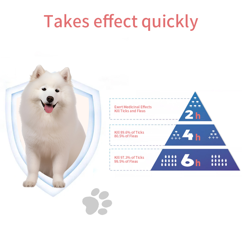 أقراص فلورالانير القابلة للمضغ للكلاب لقتل البراغيث والقراد (ODM/OEM),أقراص فلورالانير القابلة للمضغ للكلاب لقتل البراغيث والقراد (ODM/OEM),Pevet