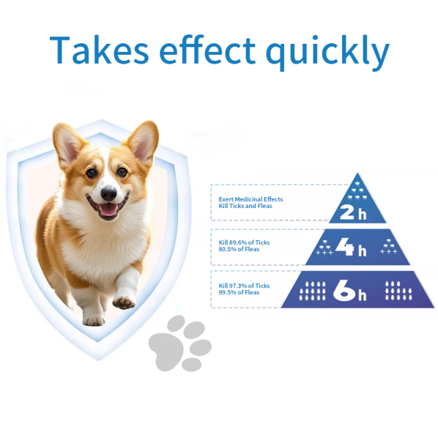 Comprimés à croquer Fluralaner à action prolongée pour animaux de compagnie (fabrication),Solution de fluralaner à action prolongée pour animaux de compagnie (fabrication),Pevet
