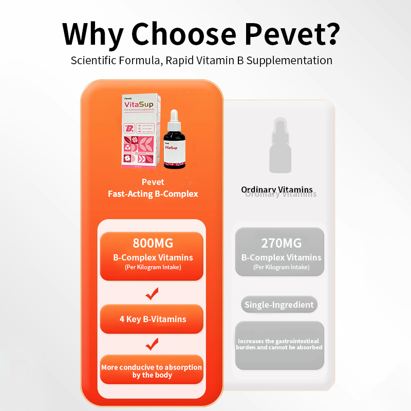 อาหารเสริมสำหรับสัตว์เลี้ยง VitaSup เป็นสูตรวิตามินบีรวมคุณภาพสูงที่ออกแบบมาเป็นพิเศษสำหรับสุนัขและแมว,อาหารเสริมสำหรับสัตว์เลี้ยง VitaSup เป็นสูตรวิตามินบีรวมคุณภาพสูงที่ออกแบบมาเป็นพิเศษสำหรับสุนัขและแมว,Pevet