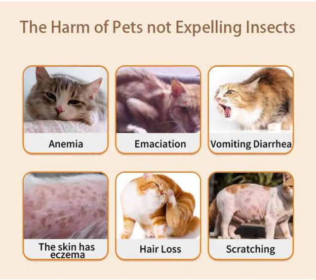 Fluralaner Spot-on Solution dla psów i kotów, zapobiega alergicznemu zapaleniu skóry u psów i kotów oraz chorobie Lyme spowodowanej inwazją kleszczy/pcheł, długotrwała ochrona przez 12 tygodni, szerokospektralny środek roztoczobójczy do stosowania miejsco,Krople Fluralaner dla psów i kotów Odrobaczacz dla zwierząt Lek weterynaryjny OEM Dostosuj ostatnie 12 tygodni odrobaczania psów odrobaczania kotów odrobaczania kleszczy i roztoczy bezpieczny i łagodny dla psów hodowlanych, a także suk ciężarnych i karmią,Pevet