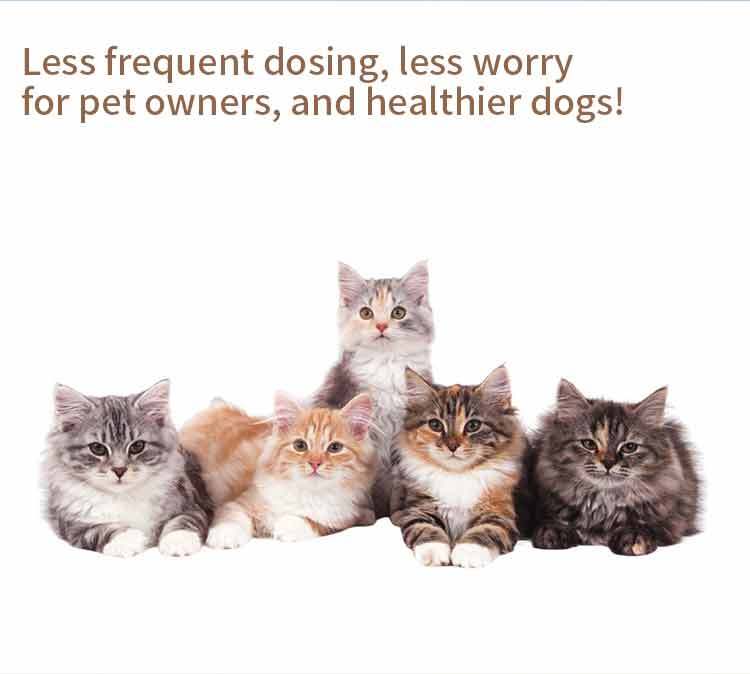 Fluralaner Spot-on Solution dla psów i kotów, zapobiega alergicznemu zapaleniu skóry u psów i kotów oraz chorobie Lyme spowodowanej inwazją kleszczy/pcheł, długotrwała ochrona przez 12 tygodni, szerokospektralny środek roztoczobójczy do stosowania miejsco,Krople Fluralaner dla psów i kotów Odrobaczacz dla zwierząt Lek weterynaryjny OEM Dostosuj ostatnie 12 tygodni odrobaczania psów odrobaczania kotów odrobaczania kleszczy i roztoczy bezpieczny i łagodny dla psów hodowlanych, a także suk ciężarnych i karmią,Pevet