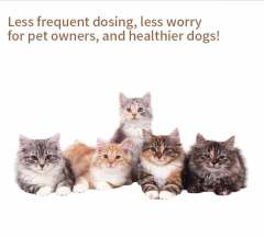 Fluralaner Spot-on Solution dla psów i kotów, zapobiega alergicznemu zapaleniu skóry u psów i kotów oraz chorobie Lyme spowodowanej inwazją kleszczy/pcheł, długotrwała ochrona przez 12 tygodni, szerokospektralny środek roztoczobójczy do stosowania miejsco,Krople Fluralaner dla psów i kotów Odrobaczacz dla zwierząt Lek weterynaryjny OEM Dostosuj ostatnie 12 tygodni odrobaczania psów odrobaczania kotów odrobaczania kleszczy i roztoczy bezpieczny i łagodny dla psów hodowlanych, a także suk ciężarnych i karmią,Pevet