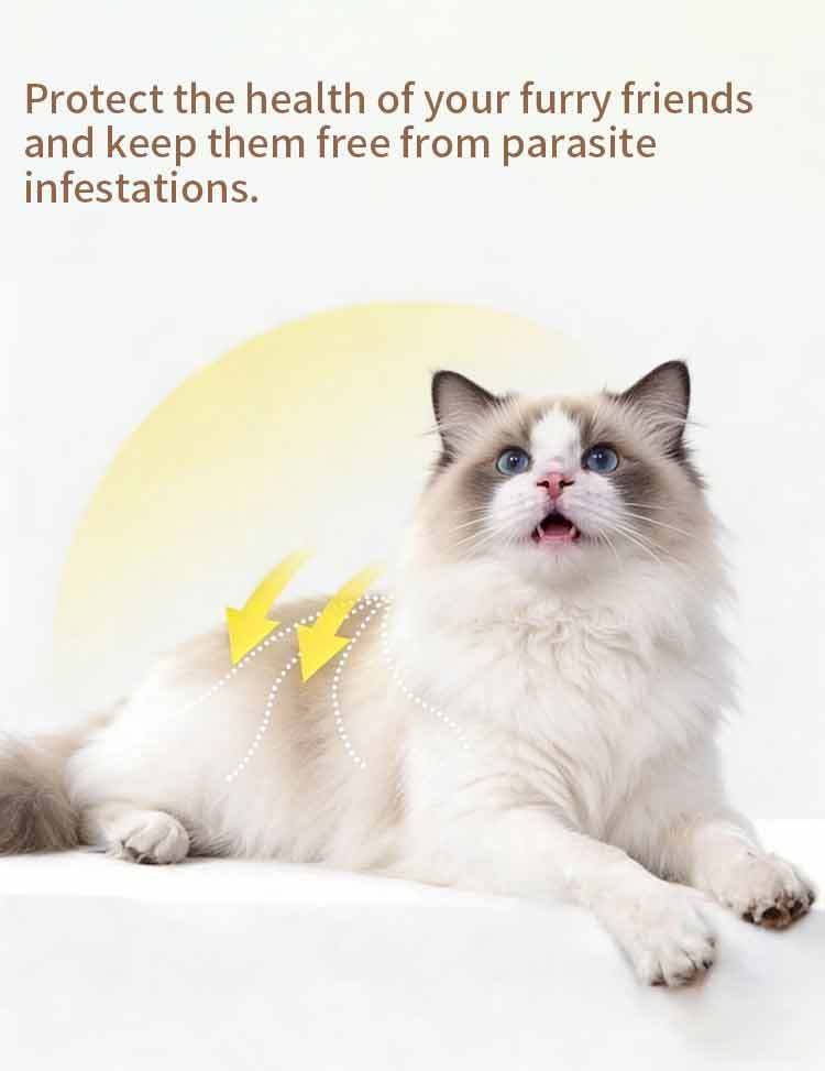 Fluralaner Spot-on Solution dla psów i kotów, zapobiega alergicznemu zapaleniu skóry u psów i kotów oraz chorobie Lyme spowodowanej inwazją kleszczy/pcheł, długotrwała ochrona przez 12 tygodni, szerokospektralny środek roztoczobójczy do stosowania miejsco,Krople Fluralaner dla psów i kotów Odrobaczacz dla zwierząt Lek weterynaryjny OEM Dostosuj ostatnie 12 tygodni odrobaczania psów odrobaczania kotów odrobaczania kleszczy i roztoczy bezpieczny i łagodny dla psów hodowlanych, a także suk ciężarnych i karmią,Pevet