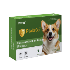 Fluralaner Spot-on Solution dla psów i kotów, zapobiega alergicznemu zapaleniu skóry u psów i kotów oraz chorobie Lyme spowodowanej inwazją kleszczy/pcheł, długotrwała ochrona przez 12 tygodni, szerokospektralny środek roztoczobójczy do stosowania miejsco,Krople Fluralaner dla psów i kotów Odrobaczacz dla zwierząt Lek weterynaryjny OEM Dostosuj ostatnie 12 tygodni odrobaczania psów odrobaczania kotów odrobaczania kleszczy i roztoczy bezpieczny i łagodny dla psów hodowlanych, a także suk ciężarnych i karmią,Pevet