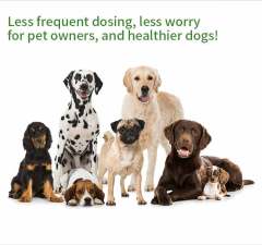 Fluralaner Spot-on Solution dla psów i kotów, zapobiega alergicznemu zapaleniu skóry u psów i kotów oraz chorobie Lyme spowodowanej inwazją kleszczy/pcheł, długotrwała ochrona przez 12 tygodni, szerokospektralny środek roztoczobójczy do stosowania miejsco,Krople Fluralaner dla psów i kotów Odrobaczacz dla zwierząt Lek weterynaryjny OEM Dostosuj ostatnie 12 tygodni odrobaczania psów odrobaczania kotów odrobaczania kleszczy i roztoczy bezpieczny i łagodny dla psów hodowlanych, a także suk ciężarnych i karmią,Pevet