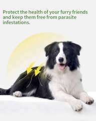 Fluralaner Spot-on Solution dla psów i kotów, zapobiega alergicznemu zapaleniu skóry u psów i kotów oraz chorobie Lyme spowodowanej inwazją kleszczy/pcheł, długotrwała ochrona przez 12 tygodni, szerokospektralny środek roztoczobójczy do stosowania miejsco,Krople Fluralaner dla psów i kotów Odrobaczacz dla zwierząt Lek weterynaryjny OEM Dostosuj ostatnie 12 tygodni odrobaczania psów odrobaczania kotów odrobaczania kleszczy i roztoczy bezpieczny i łagodny dla psów hodowlanych, a także suk ciężarnych i karmią,Pevet