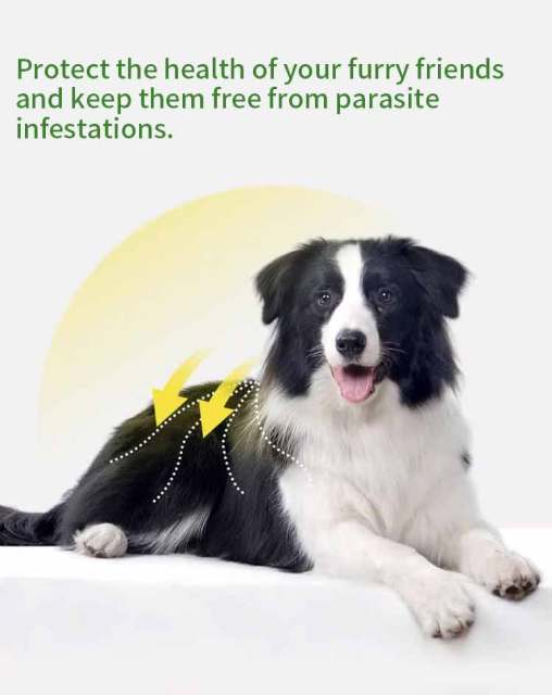 Fluralaner Spot-on Solution dla psów i kotów, zapobiega alergicznemu zapaleniu skóry u psów i kotów oraz chorobie Lyme spowodowanej inwazją kleszczy/pcheł, długotrwała ochrona przez 12 tygodni, szerokospektralny środek roztoczobójczy do stosowania miejsco,Krople Fluralaner dla psów i kotów Odrobaczacz dla zwierząt Lek weterynaryjny OEM Dostosuj ostatnie 12 tygodni odrobaczania psów odrobaczania kotów odrobaczania kleszczy i roztoczy bezpieczny i łagodny dla psów hodowlanych, a także suk ciężarnych i karmią,Pevet