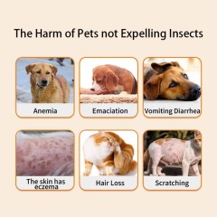 Spray antiparassitario rapido per animali domestici, ideale per la casa e gli esterni, elimina i parassiti in 30 secondi. Sicuro per cuccioli di 2 giorni, profumo fresco e leggero, non irritante e delicato. Disponibile in diverse misure.,Spray vermifugo contro pulci e zecche per cani e gatti. Trattamento antipulci ad azione rapida. Farmaco vermifugo per cani e gatti.,Pevet