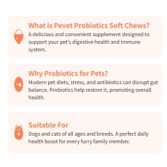 Comprimés à croquer PROBIOTIQUES pour la santé digestive des chats et des chiens, probiotiques pour animaux de compagnie, soutien intestinal, OEM, conditionnement en pot,Comprimés à croquer PROBIOTIQUES pour la santé digestive des chats et des chiens, probiotiques pour animaux de compagnie, soutien intestinal, OEM, conditionnement en pot,Pevet