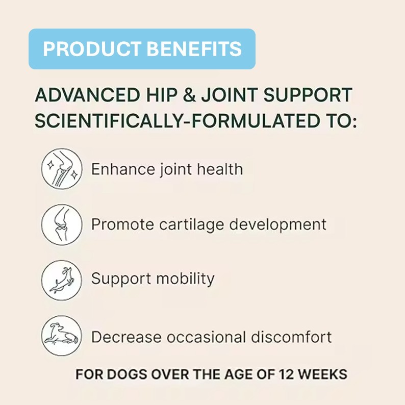 Comprimés à mâcher souples pour l'articulation de la hanche des chiens et chats (OEM/ODM) - Formule multivitaminée MSM - Réparation du cartilage - Soutien de la mobilité - Santé osseuse,Comprimés à mâcher souples pour l'articulation de la hanche des chiens et chats (OEM/ODM) - Formule multivitaminée MSM - Réparation du cartilage - Soutien de la mobilité - Santé osseuse,Pevet