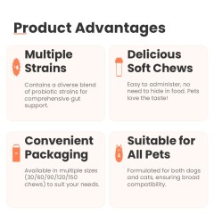 Comprimés à croquer PROBIOTIQUES pour la santé digestive des chats et des chiens, probiotiques pour animaux de compagnie, soutien intestinal, OEM, conditionnement en pot,Comprimés à croquer PROBIOTIQUES pour la santé digestive des chats et des chiens, probiotiques pour animaux de compagnie, soutien intestinal, OEM, conditionnement en pot,Pevet