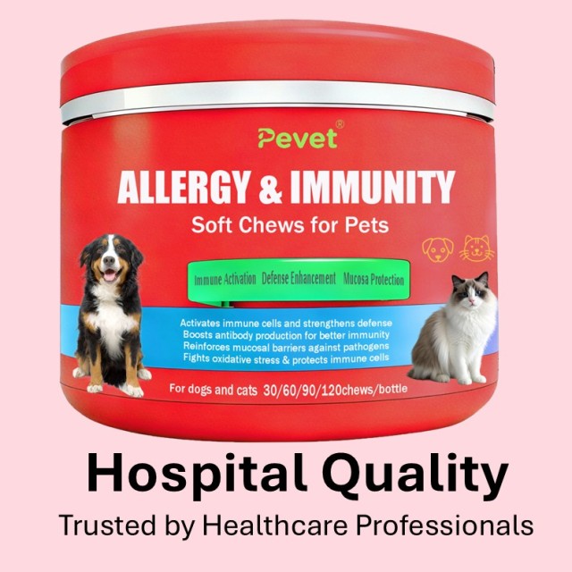 Comprimés à mâcher pour chiens contre les allergies et l'immunité - Formule OEM - Soulagement des allergies - Soutien immunitaire - Riche en protéines - Biologique - Sans céréales - Ingrédients limités - Absorption rapide du calcium,Comprimés à mâcher pour chiens contre les allergies et l'immunité - Formule OEM - Soulagement des allergies - Soutien immunitaire - Riche en protéines - Biologique - Sans céréales - Ingrédients limités - Absorption rapide du calcium,Pevet