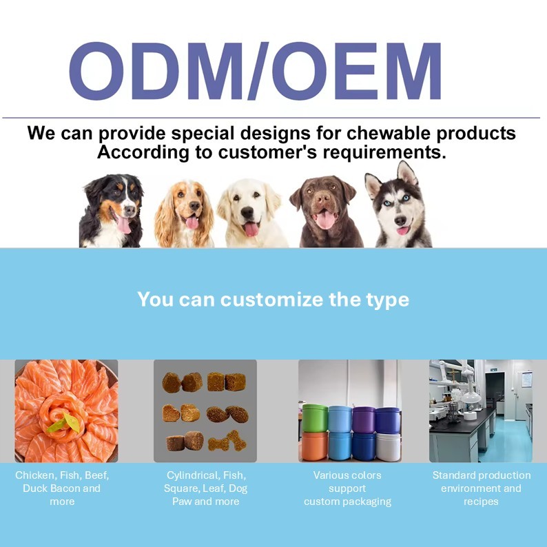 Comprimés à mâcher souples pour l'articulation de la hanche des chiens et chats (OEM/ODM) - Formule multivitaminée MSM - Réparation du cartilage - Soutien de la mobilité - Santé osseuse,Comprimés à mâcher souples pour l'articulation de la hanche des chiens et chats (OEM/ODM) - Formule multivitaminée MSM - Réparation du cartilage - Soutien de la mobilité - Santé osseuse,Pevet