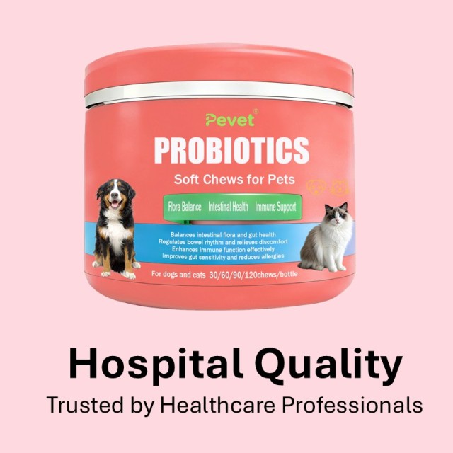 Comprimés à croquer PROBIOTIQUES pour la santé digestive des chats et des chiens, probiotiques pour animaux de compagnie, soutien intestinal, OEM, conditionnement en pot,Comprimés à croquer PROBIOTIQUES pour la santé digestive des chats et des chiens, probiotiques pour animaux de compagnie, soutien intestinal, OEM, conditionnement en pot,Pevet
