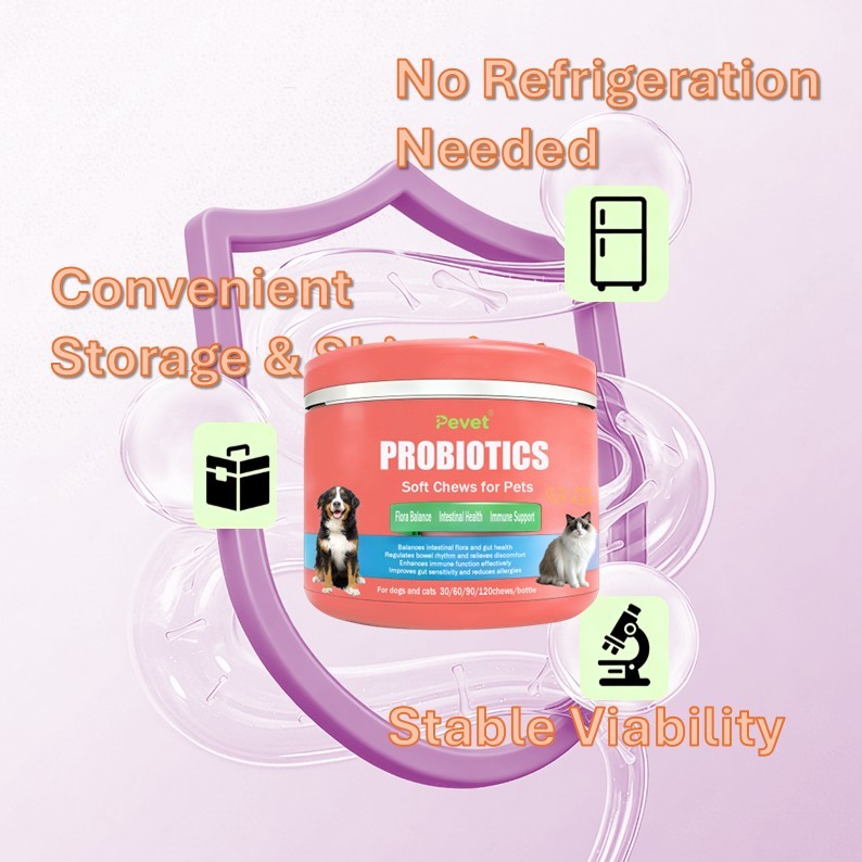 Comprimés à croquer PROBIOTIQUES pour la santé digestive des chats et des chiens, probiotiques pour animaux de compagnie, soutien intestinal, OEM, conditionnement en pot,Comprimés à croquer PROBIOTIQUES pour la santé digestive des chats et des chiens, probiotiques pour animaux de compagnie, soutien intestinal, OEM, conditionnement en pot,Pevet