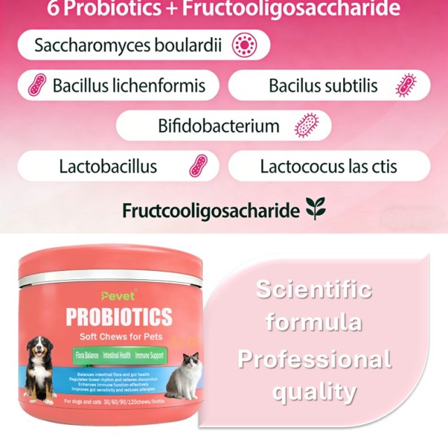 Comprimés à croquer PROBIOTIQUES pour la santé digestive des chats et des chiens, probiotiques pour animaux de compagnie, soutien intestinal, OEM, conditionnement en pot,Comprimés à croquer PROBIOTIQUES pour la santé digestive des chats et des chiens, probiotiques pour animaux de compagnie, soutien intestinal, OEM, conditionnement en pot,Pevet