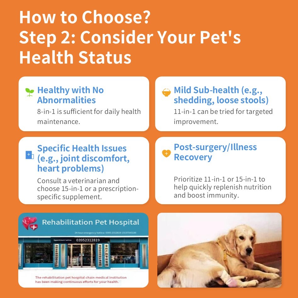 Viên nhai mềm bổ sung vitamin tổng hợp Pevet Multivitamin Soft Chews Glucosamine Probiotics Hỗ trợ tim mạch, khớp, da và hệ miễn dịch 60 viên/chai,Viên nhai mềm bổ sung vitamin tổng hợp Pevet Multivitamin Soft Chews Glucosamine Probiotics Hỗ trợ tim mạch, khớp, da và hệ miễn dịch 60 viên/chai,Pevet