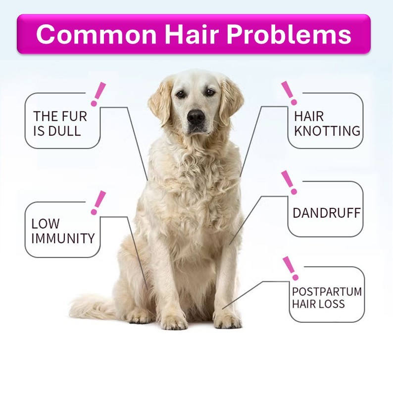 Suplementos nutricionais mastigáveis para pele e pelagem, fornecimento do fabricante, para combater a queda de pelos, cuidar da beleza da pelagem e da saúde do seu animal de estimação.,Suplementos nutricionais mastigáveis para pele e pelagem, fornecimento do fabricante, para combater a queda de cabelo, cuidar da beleza da pelagem e da saúde do seu animal de estimação.,Pevet