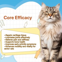 Comprimés à mâcher souples pour l'articulation de la hanche des chiens et chats (OEM/ODM) - Formule multivitaminée MSM - Réparation du cartilage - Soutien de la mobilité - Santé osseuse,Comprimés à mâcher souples pour l'articulation de la hanche des chiens et chats (OEM/ODM) - Formule multivitaminée MSM - Réparation du cartilage - Soutien de la mobilité - Santé osseuse,Pevet