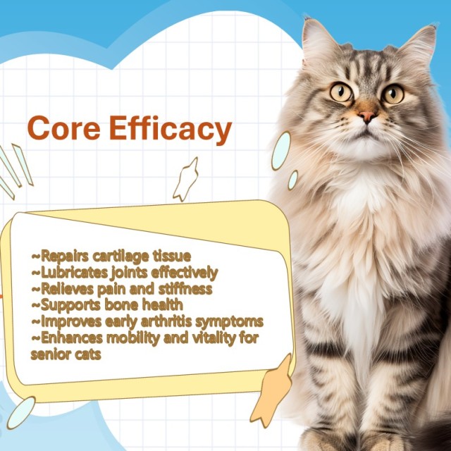 Comprimés à mâcher souples pour l'articulation de la hanche des chiens et chats (OEM/ODM) - Formule multivitaminée MSM - Réparation du cartilage - Soutien de la mobilité - Santé osseuse,Comprimés à mâcher souples pour l'articulation de la hanche des chiens et chats (OEM/ODM) - Formule multivitaminée MSM - Réparation du cartilage - Soutien de la mobilité - Santé osseuse,Pevet