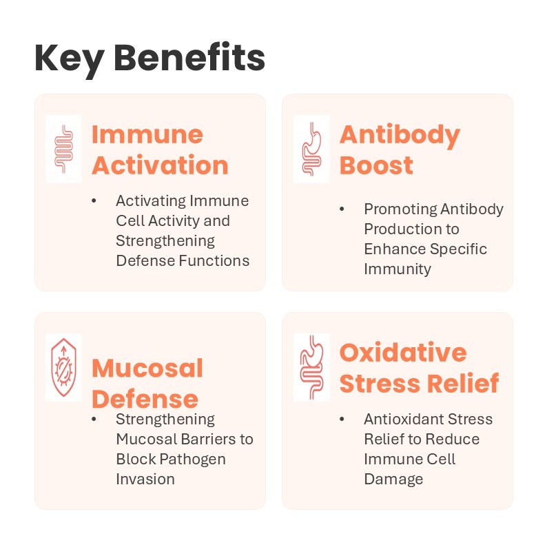 Comprimés à mâcher pour chiens contre les allergies et l'immunité - Formule OEM - Soulagement des allergies - Soutien immunitaire - Riche en protéines - Biologique - Sans céréales - Ingrédients limités - Absorption rapide du calcium,Comprimés à mâcher pour chiens contre les allergies et l'immunité - Formule OEM - Soulagement des allergies - Soutien immunitaire - Riche en protéines - Biologique - Sans céréales - Ingrédients limités - Absorption rapide du calcium,Pevet
