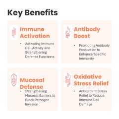 Comprimés à mâcher pour chiens contre les allergies et l'immunité - Formule OEM - Soulagement des allergies - Soutien immunitaire - Riche en protéines - Biologique - Sans céréales - Ingrédients limités - Absorption rapide du calcium,Comprimés à mâcher pour chiens contre les allergies et l'immunité - Formule OEM - Soulagement des allergies - Soutien immunitaire - Riche en protéines - Biologique - Sans céréales - Ingrédients limités - Absorption rapide du calcium,Pevet