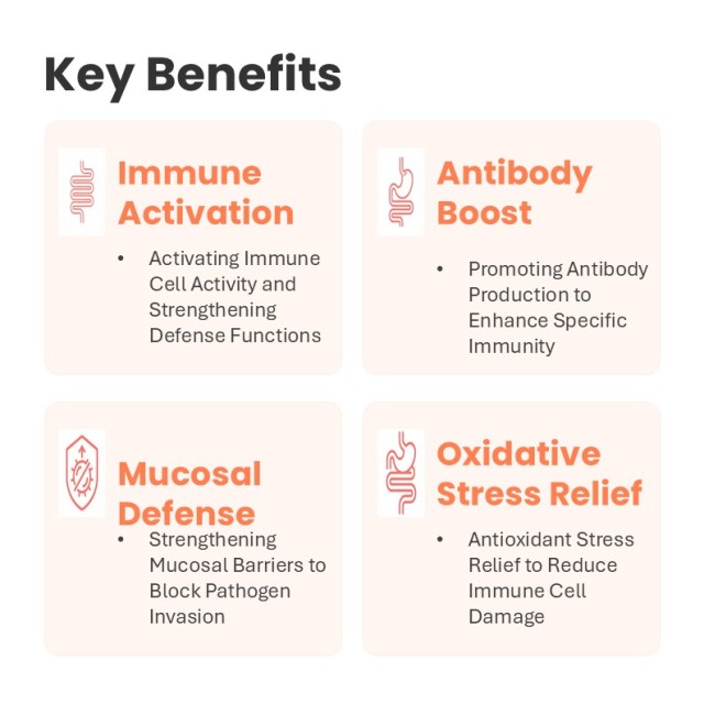 Comprimés à mâcher pour chiens contre les allergies et l'immunité - Formule OEM - Soulagement des allergies - Soutien immunitaire - Riche en protéines - Biologique - Sans céréales - Ingrédients limités - Absorption rapide du calcium,Comprimés à mâcher pour chiens contre les allergies et l'immunité - Formule OEM - Soulagement des allergies - Soutien immunitaire - Riche en protéines - Biologique - Sans céréales - Ingrédients limités - Absorption rapide du calcium,Pevet