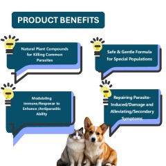 Comprimés vermifuges à mâcher pour animaux de compagnie - vermifuge pour chiens evet (commandes personnalisées uniquement). Fabriqué avec de la poudre d'ail et des vitamines B1, B6 et B12 pour une absorption rapide et une bonne digestion.,Comprimés vermifuges à mâcher pour animaux de compagnie - vermifuge pour chiens evet (commandes personnalisées uniquement). Fabriqué avec de la poudre d'ail et des vitamines B1, B6 et B12 pour une absorption rapide et une bonne digestion.,Pevet