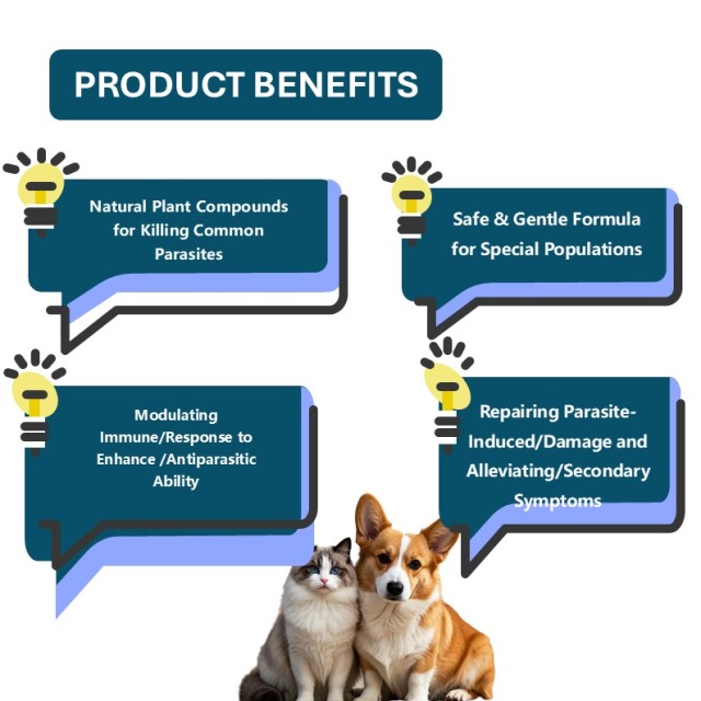 Comprimés vermifuges à mâcher pour animaux de compagnie - vermifuge pour chiens evet (commandes personnalisées uniquement). Fabriqué avec de la poudre d'ail et des vitamines B1, B6 et B12 pour une absorption rapide et une bonne digestion.,Comprimés vermifuges à mâcher pour animaux de compagnie - vermifuge pour chiens evet (commandes personnalisées uniquement). Fabriqué avec de la poudre d'ail et des vitamines B1, B6 et B12 pour une absorption rapide et une bonne digestion.,Pevet