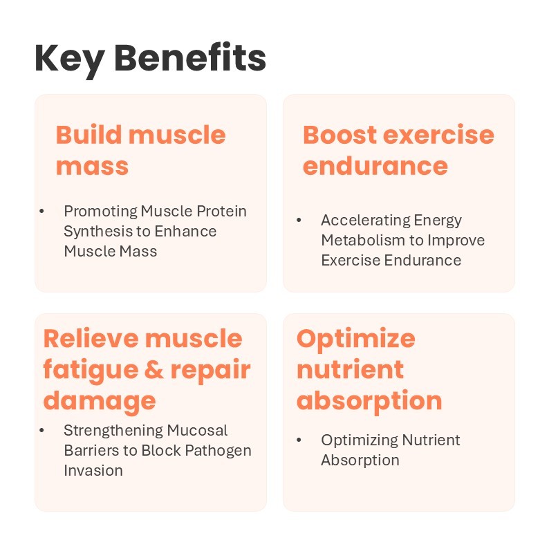 MUSCLE GAIN SOFT CHEWS-Wholesale High-Protein Fast-Absorption Soft Chews Muscle Gain Dog Muscle Bone Health Supplement Weight Gain Skin/Coat Custom,MUSCLE GAIN SOFT CHEWS-Wholesale High-Protein Fast-Absorption Soft Chews Muscle Gain Dog Muscle Bone Health Supplement Weight Gain Skin/Coat Custom,Pevet