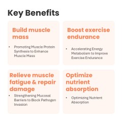 MUSCLE GAIN SOFT CHEWS-Wholesale High-Protein Fast-Absorption Soft Chews Muscle Gain Dog Muscle Bone Health Supplement Weight Gain Skin/Coat Custom,MUSCLE GAIN SOFT CHEWS-Wholesale High-Protein Fast-Absorption Soft Chews Muscle Gain Dog Muscle Bone Health Supplement Weight Gain Skin/Coat Custom,Pevet