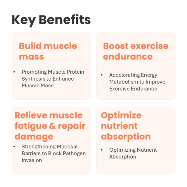 MUSCLE GAIN SOFT CHEWS-Wholesale High-Protein Fast-Absorption Soft Chews Muscle Gain Dog Muscle Bone Health Supplement Weight Gain Skin/Coat Custom,MUSCLE GAIN SOFT CHEWS-Wholesale High-Protein Fast-Absorption Soft Chews Muscle Gain Dog Muscle Bone Health Supplement Weight Gain Skin/Coat Custom,Pevet