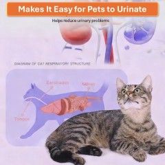 PASTA MASTICABILI PER LE VIE URINARIE,PASTA MASTICABILI PER LE VIE URINARIE,Pevet