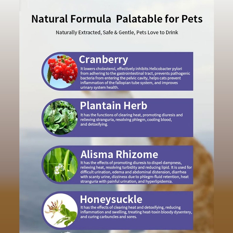 PASTA MASTICABILI PER LE VIE URINARIE,PASTA MASTICABILI PER LE VIE URINARIE,Pevet