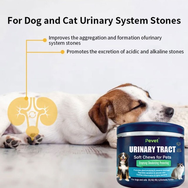 PASTA MASTICABILI PER LE VIE URINARIE,PASTA MASTICABILI PER LE VIE URINARIE,Pevet